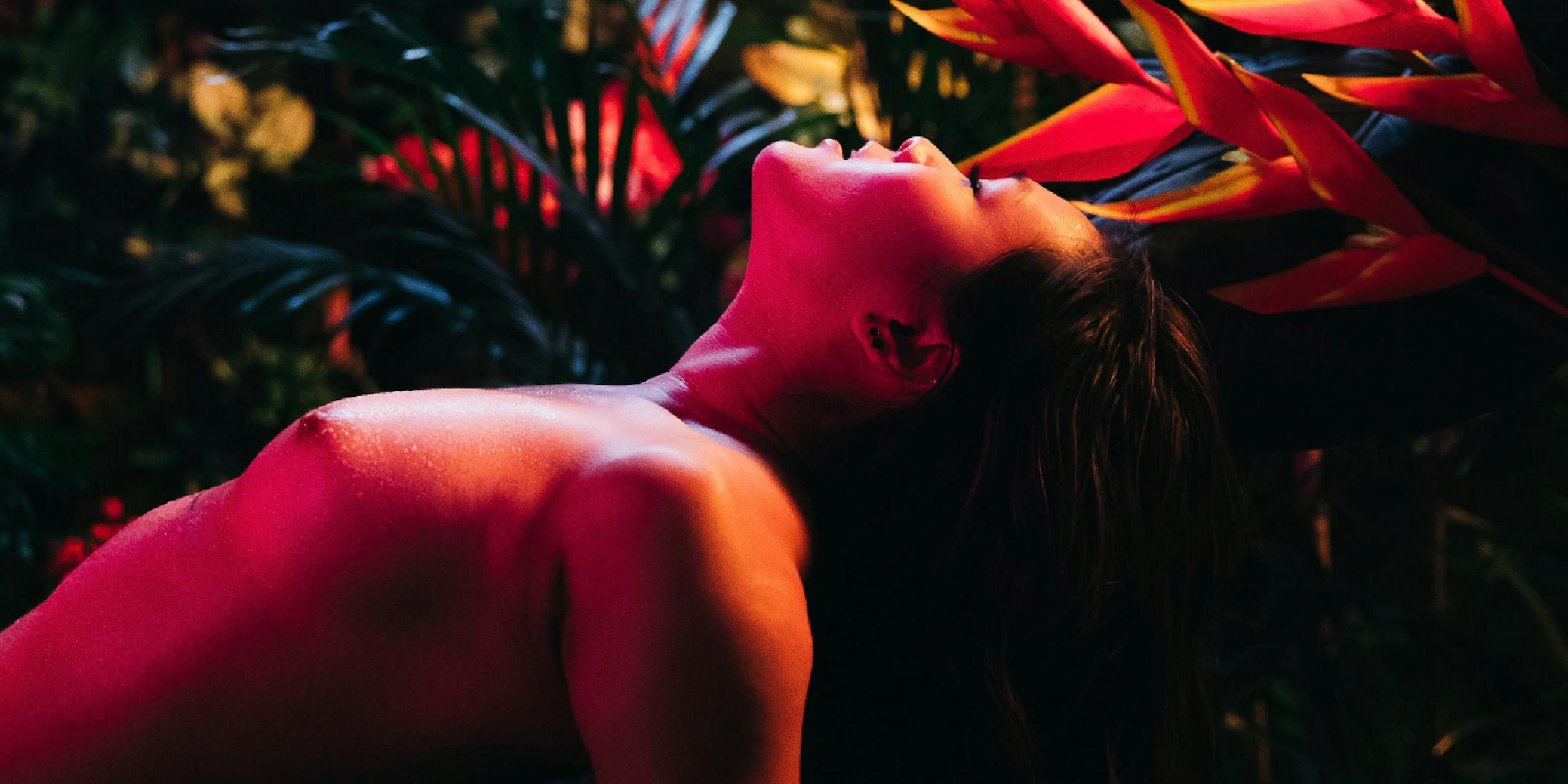 The Gardener The Gardener