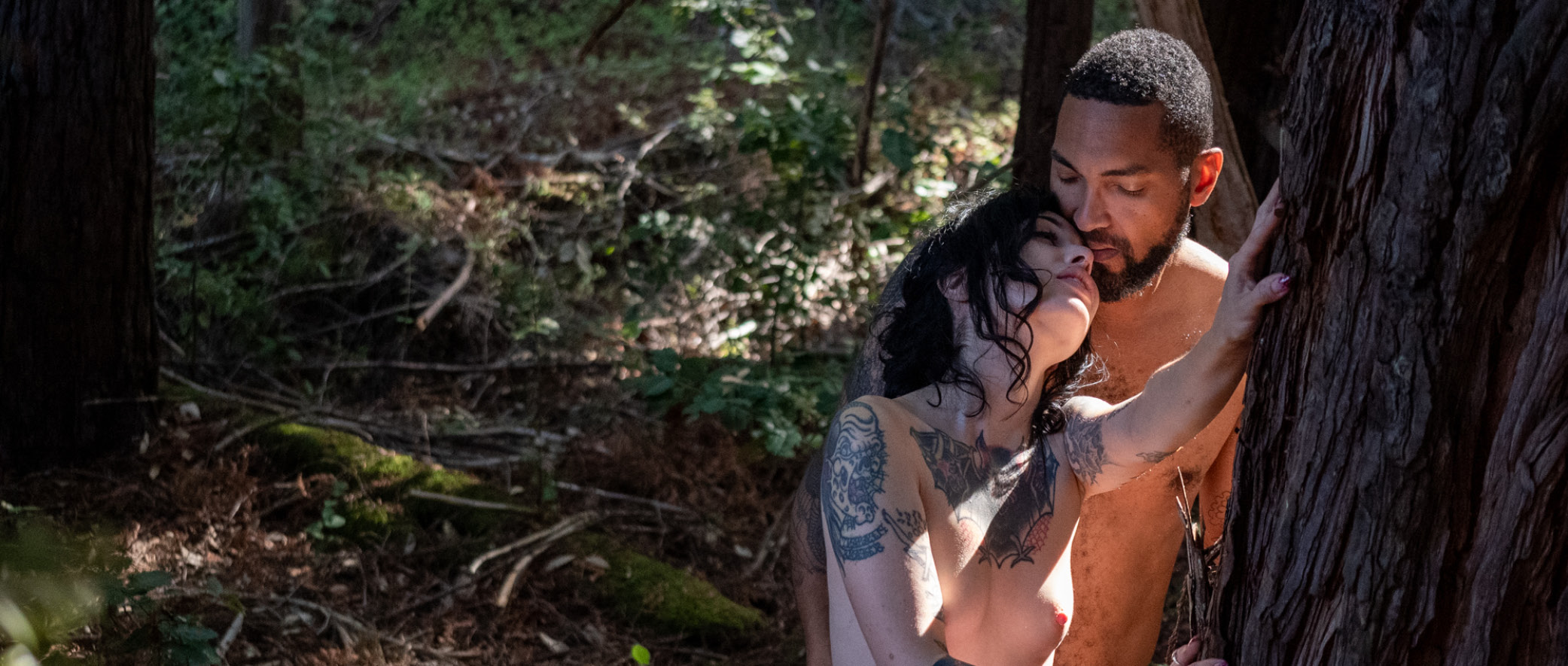 Trailer Roots of Pleasure