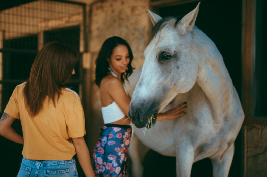 Screenshot 2023-05-26 090745