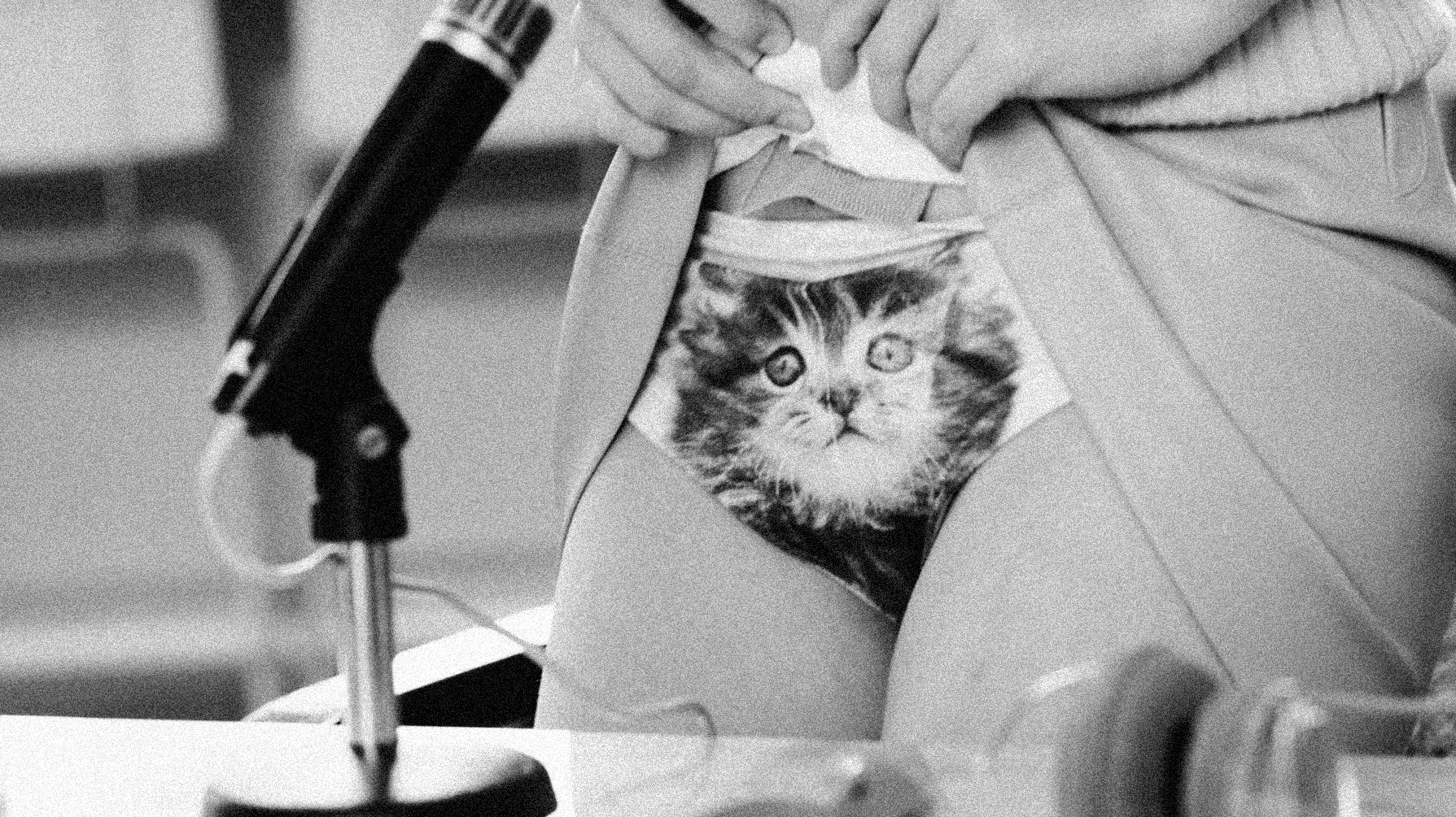 hot-movie-xconfessions3