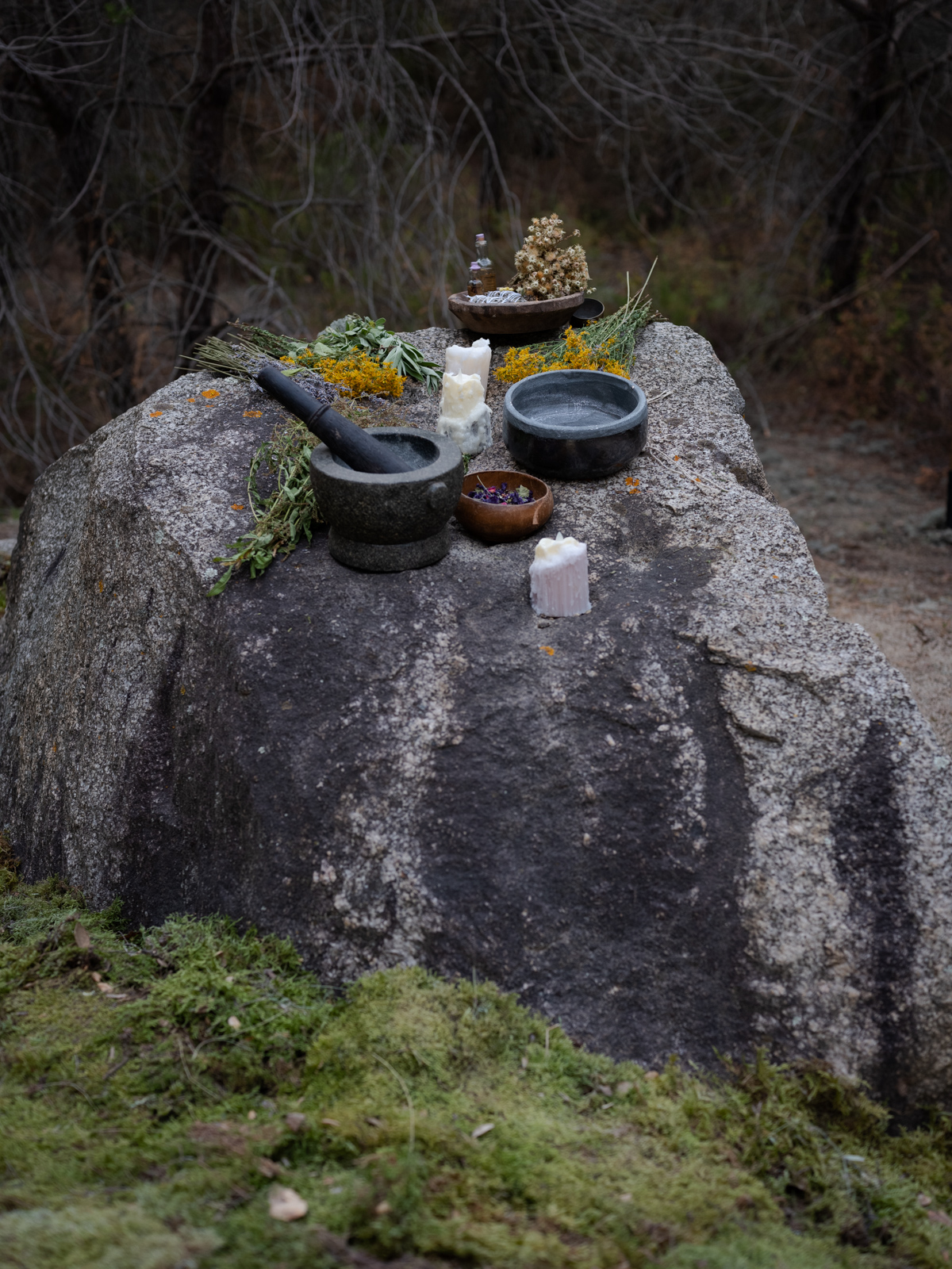 39b706ee-8b5b-4b25-8b61-b2cce2281ffc