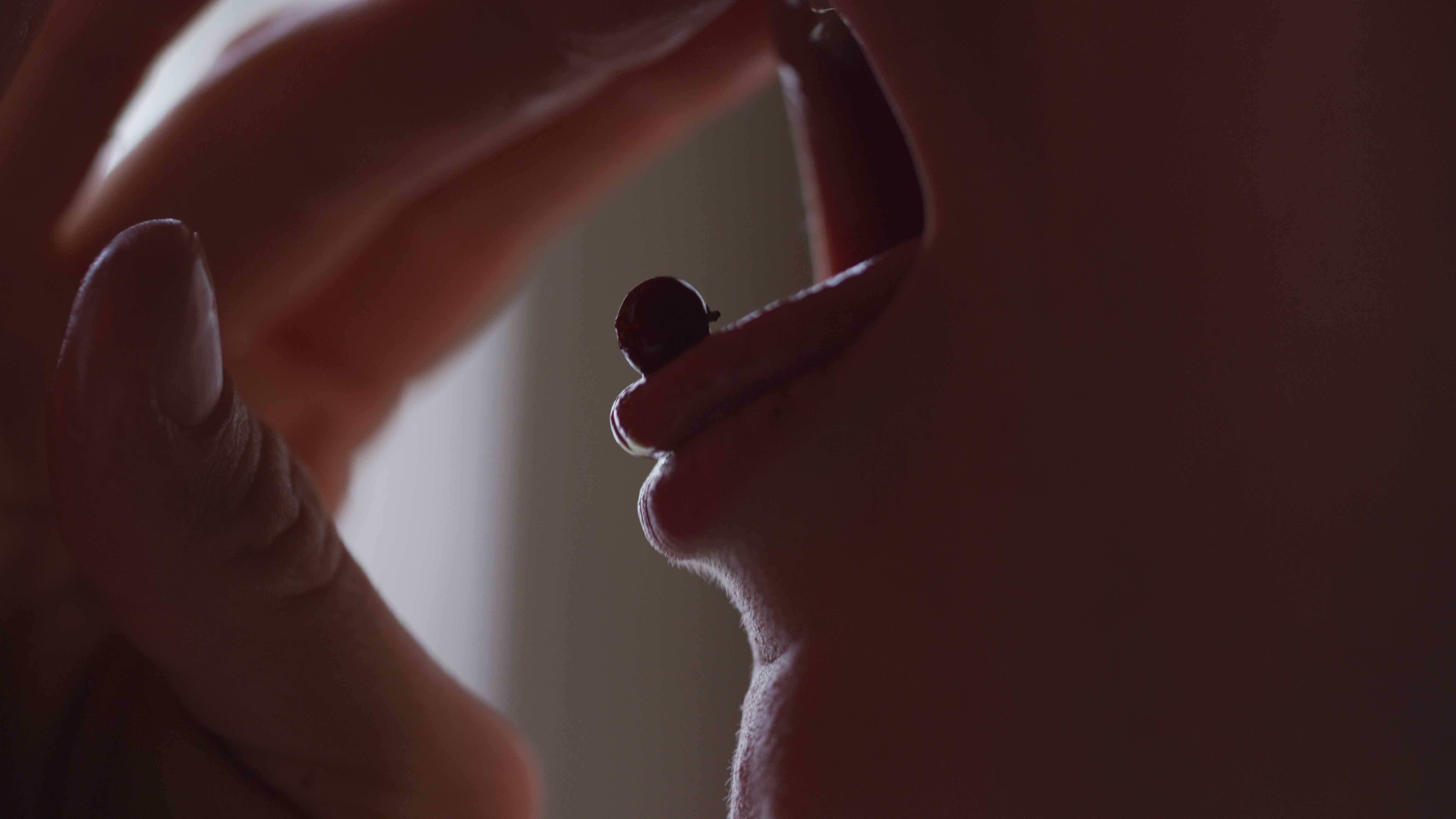 LynxMondayRedStills.0000004