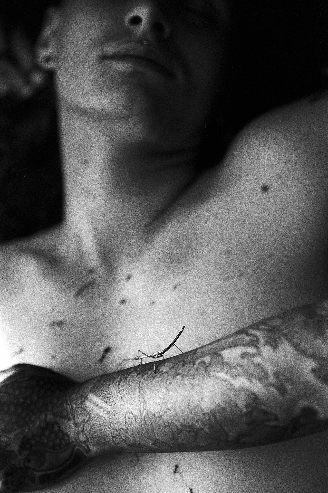 1808_Spit_b5s92f36ftn