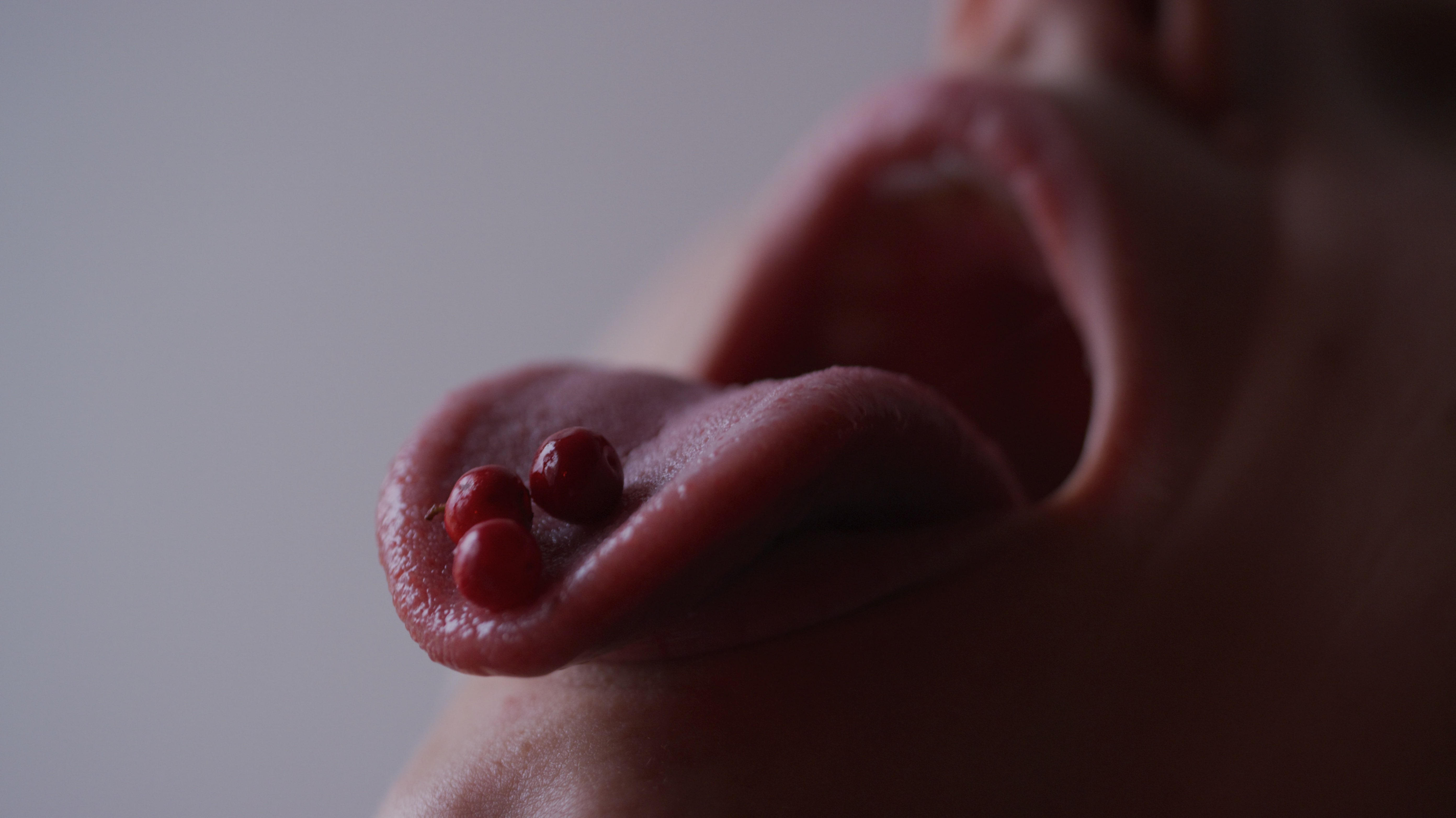 LynxMondayRedStills.0000006 (1)-min