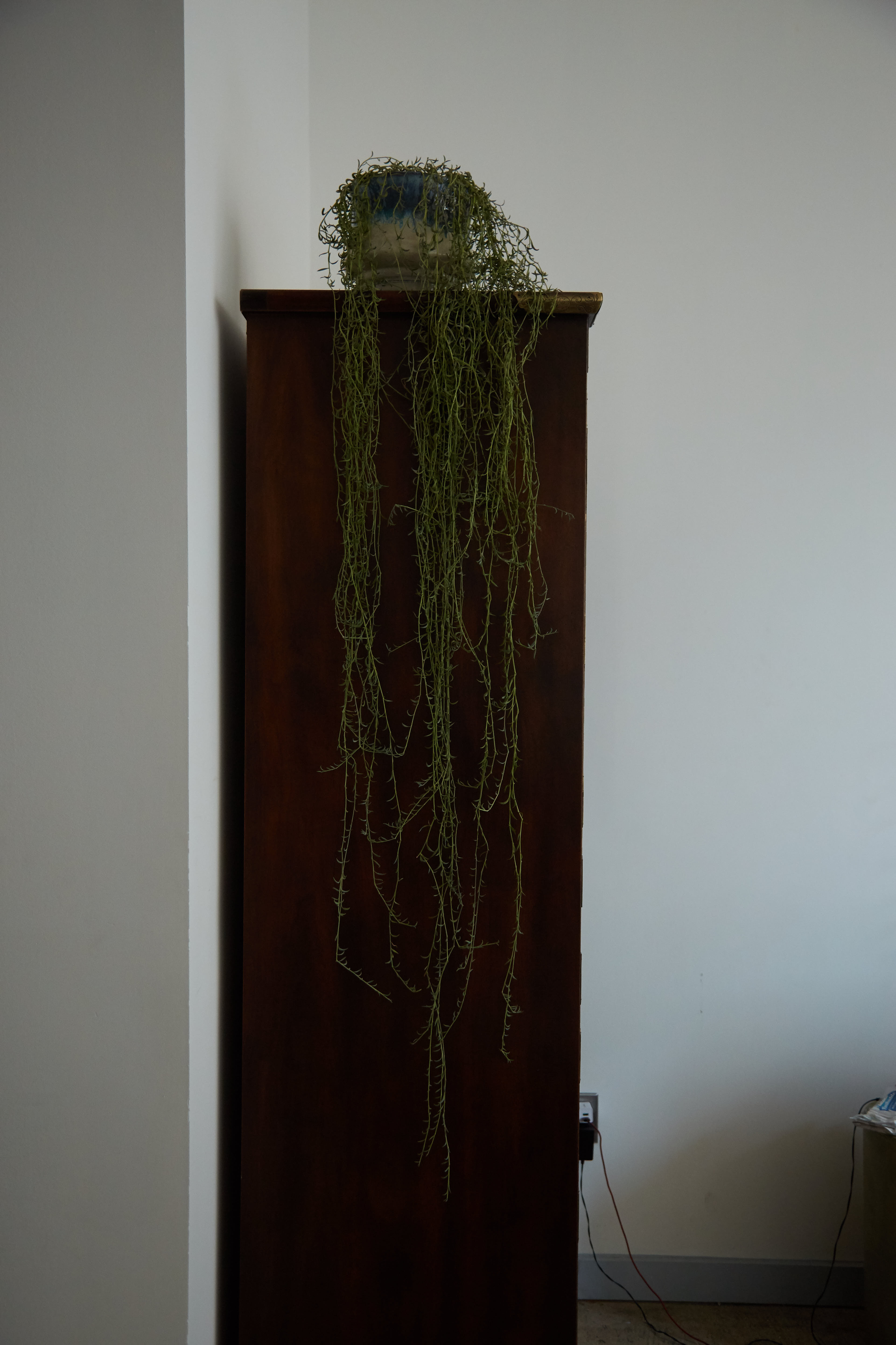 IGNITE-BARAKA-ALL-RT 6